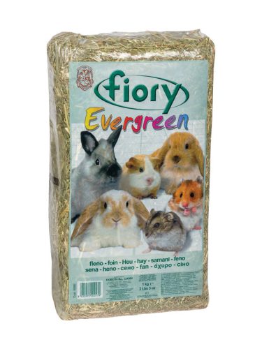 Fiory | Hay EVERGREEN | Örökzöld széna - 1 Kg