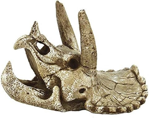 SuperFish | SKULL TRICERATOPS | Triceratopsz koponya dekoráció - M