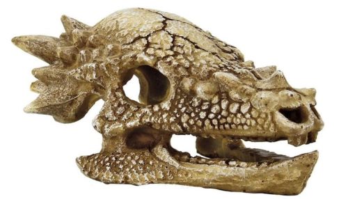 SuperFish | SKULL T REX | T-Rex, koponya M - 15x11x8 cm