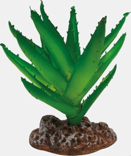 Repto Plant Aloes Vera | Aloe vera műnövény