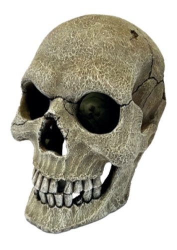 Repto Deco Human Skull | Emberi műkoponya XL