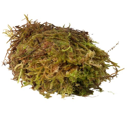 HabiStat Sphagnum Moss | Terráriumi természetes moha - 1 Kg